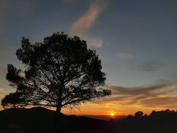 Low angle view of silhouette tree against sky during sunset