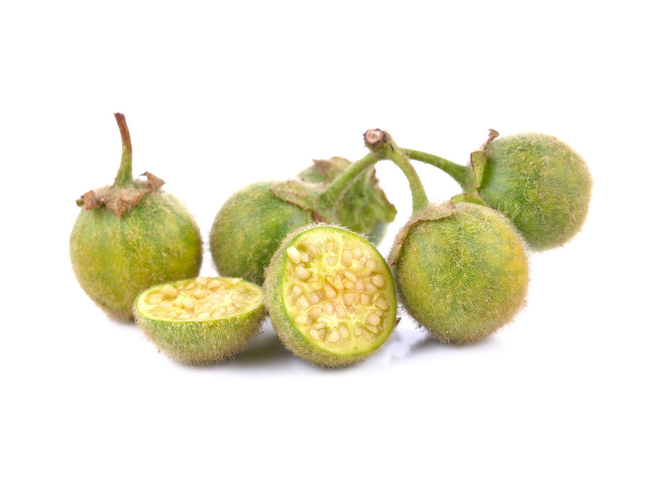 CLOSE-UP OF FRUITS GROWING ON WHITE SURFACE