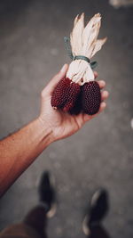 Close-up of hand holding strawberries