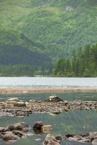 Scenic view of lake