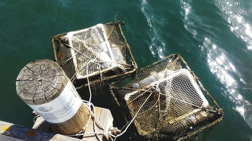 Plastic bottle in basket for enviromental experiment