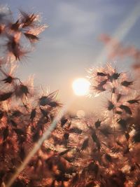 nature