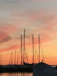 Sailboats in marina at sunset