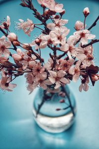 High angle view of cherry blossoms in vase on table