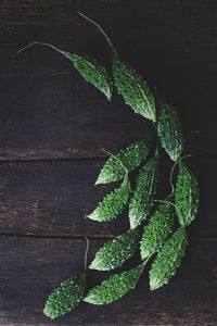 Close-up of leaf on table