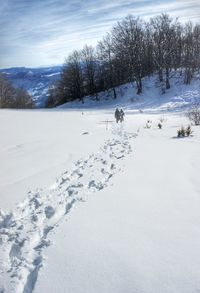 Mountain in serbia covered snow