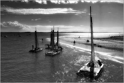 Sailboats sailing in sea against sky