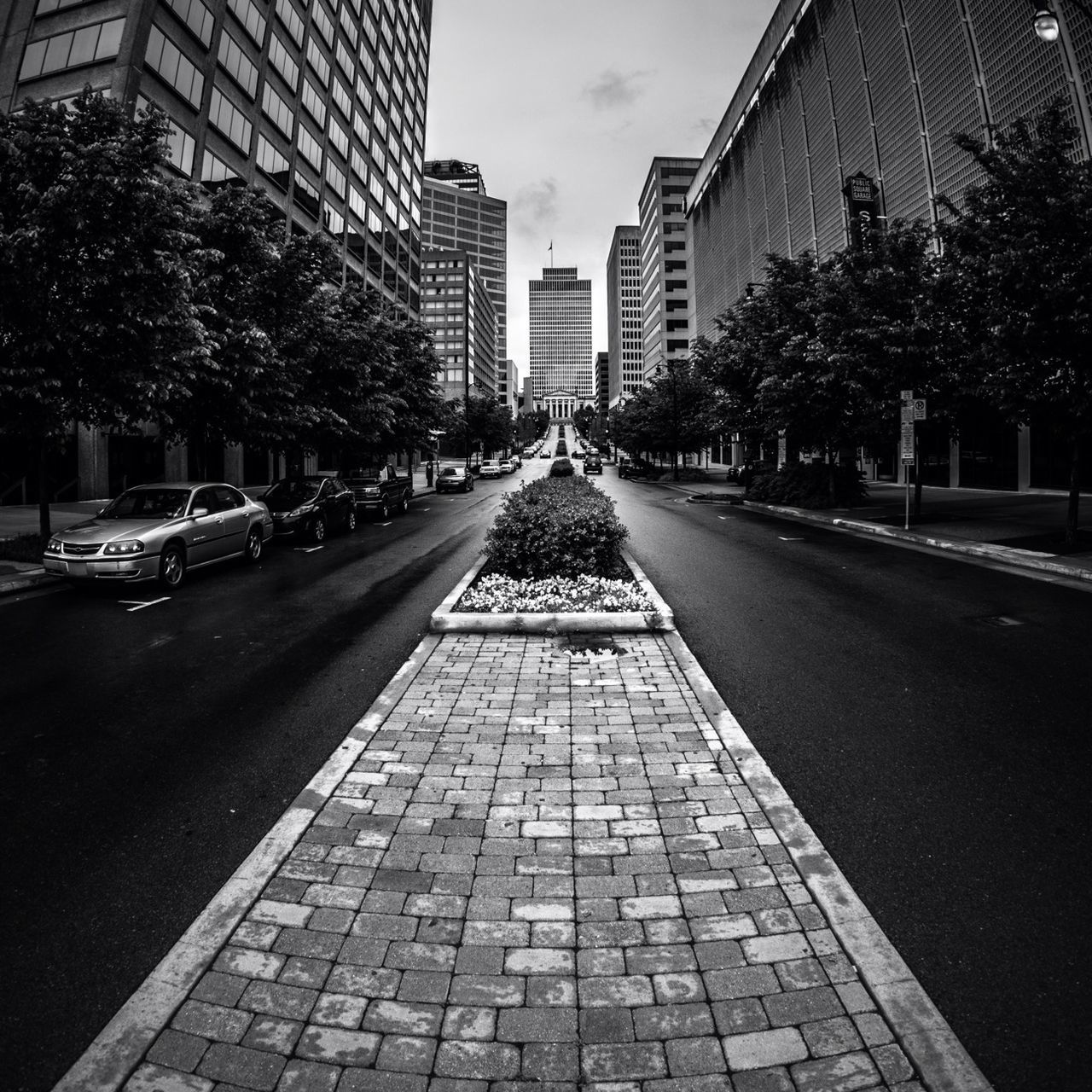 building exterior, architecture, built structure, city, the way forward, diminishing perspective, transportation, street, vanishing point, tree, road, building, car, city life, sky, road marking, incidental people, city street, outdoors, day