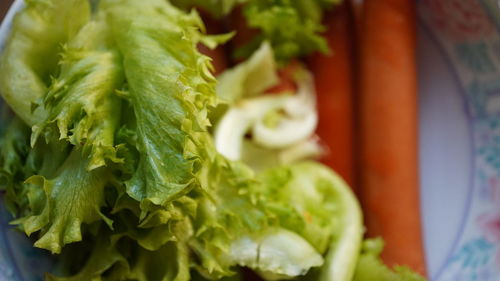 Close-up of chopped vegetables in plate