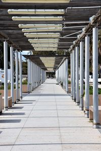 Empty footpath amidst columns