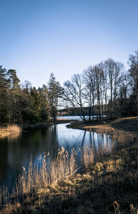 Scenic view of lake against clear sky