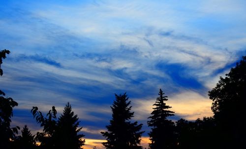 Low angle view of silhouette trees against sky