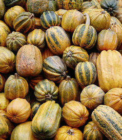 Full frame shot of pumpkins for sale