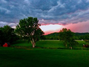 Trees on field against sky during sunset