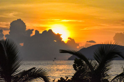 Silhouette palm tree by sea against sky at sunset