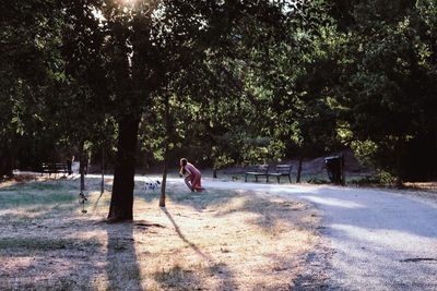 People walking on road in park