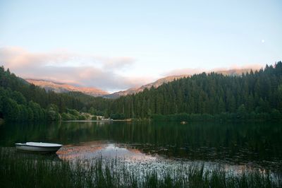 Scenic view of lake in forest against sky