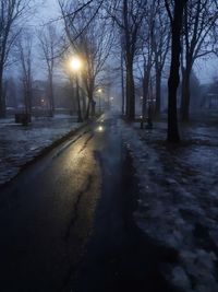 Road amidst bare trees in city during winter