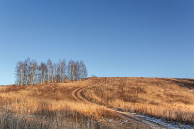 Scenic view of field against clear blue sky