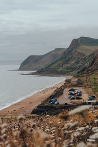 View over the flowers of eype beach, a secluded and unspoiled beach on dorsets jurassic coast, uk.