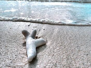 Close-up of figurine on sand