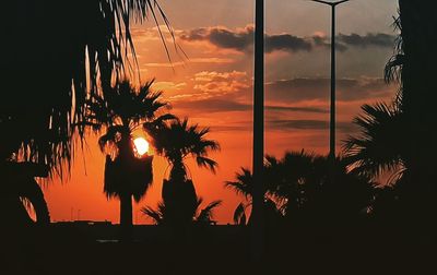 Silhouette palm trees against orange sky