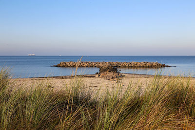 Scenic view of sea against clear sky