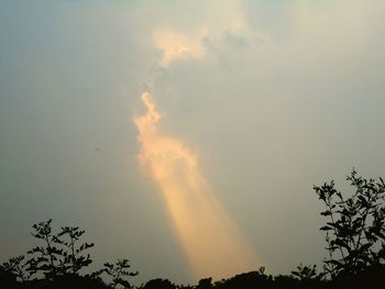 Low angle view of silhouette trees against sky