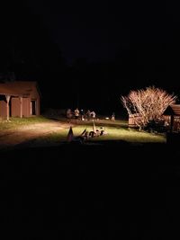 People on illuminated field against sky at night