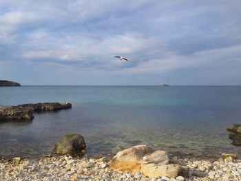 Seagull flying over sea against sky