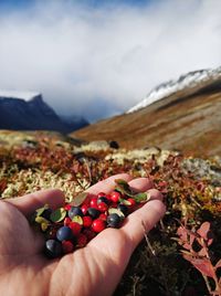 Gifts of nature