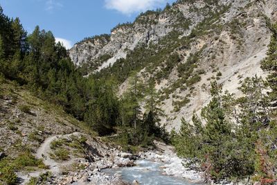 Scenic view of stream amidst trees and mountains