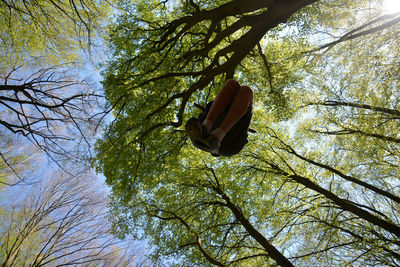 Close-up high section of tree against sky