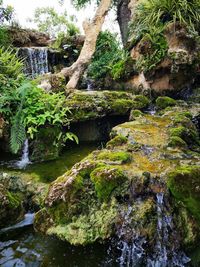 Stream flowing through rocks in forest