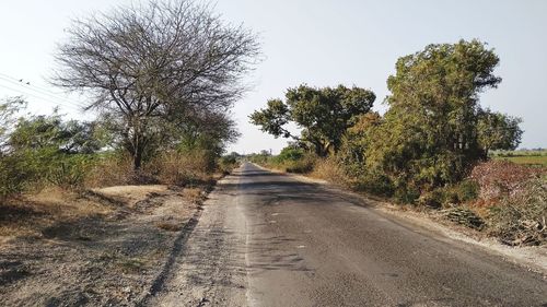 Road amidst trees against sky