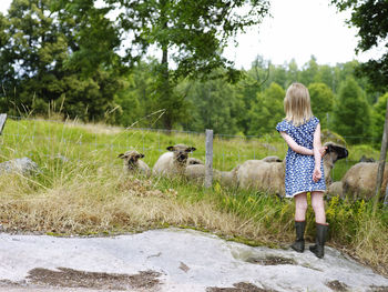 Girl looking at sheep on pasture