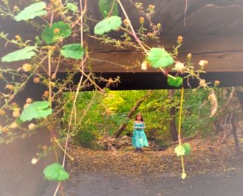 Plant holding flower