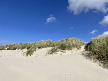 Scenic view of beach against blue sky