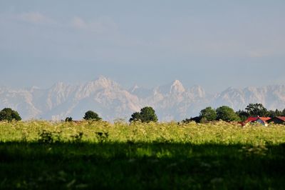 Scenic view of field against sky