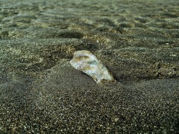 Close-up of sand on beach