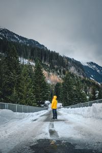 Rear view of man on snowcapped mountain against sky