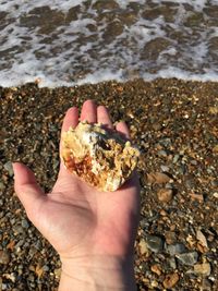 Low section of person holding pebble on beach