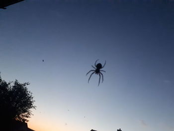 Low angle view of silhouette spider against sky