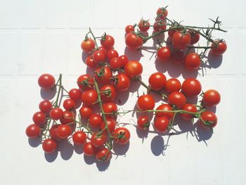 Close-up of cherry tomatoes on table