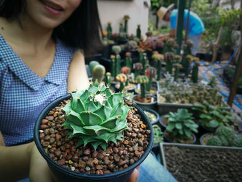 Midsection of woman holding potted cactus outdoors