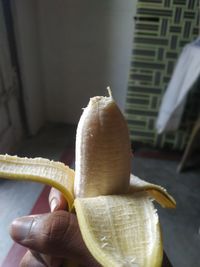 Close-up of hand holding fruit