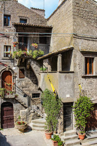 Potted plants against old building