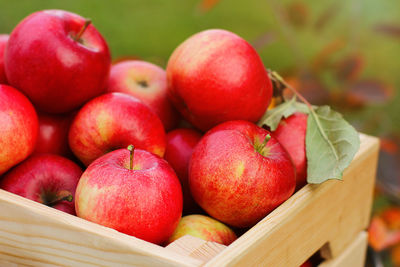 Close-up of apples in basket