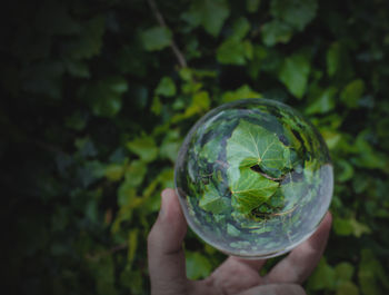 Close-up of human hand holding ball