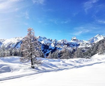 Scenic view of snowcapped mountains against blue sky